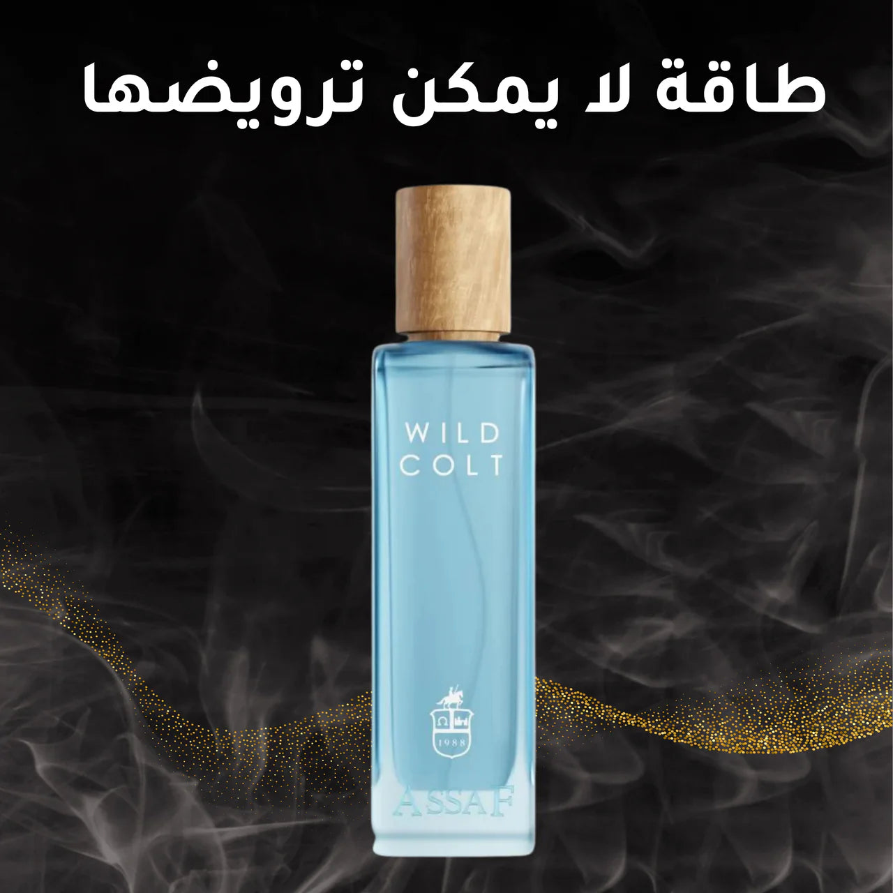 ASSAF من WILD COLT عطر